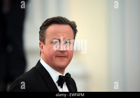 Le Premier ministre britannique, David Cameron, arrive à un banquet d'état en l'honneur de la Reine au château de Bellevue à Berlin, Allemagne, 24 juin 2015. La Reine et son mari sont sur leur cinquième visite d'État en Allemagne. Photo : KAY NIETFELD/dpa Banque D'Images
