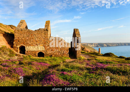 Les ruines de l'exploitation minière de l'étain ancien bâtiments à papule Coates sur le South West Coast Path comme il passe St Agnes Tête à Cornwall Banque D'Images