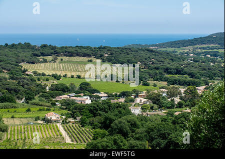 Ramatuelle (nord-est de la France) : paysage rural dans les environs de Ramatuelle Banque D'Images