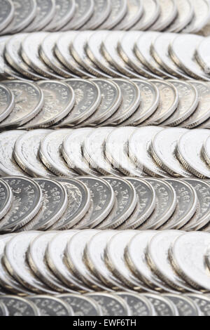 Devise polonaise - studio shot Banque D'Images