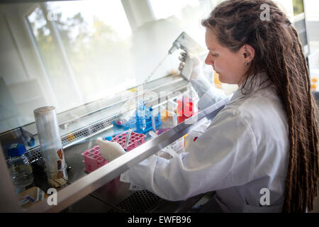 BIOPRINTING Banque D'Images