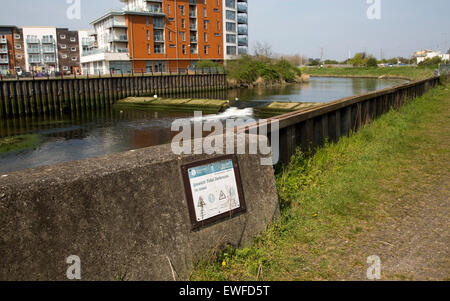 Weir et la défense contre les inondations sur la rivière Mur Orwell, Ipswich, Suffolk, Angleterre, RU Banque D'Images