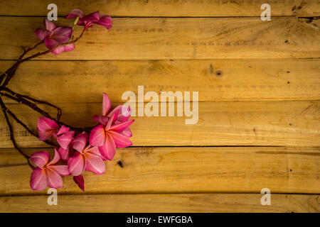 Fleur, Plumeria, revêtements de sol, de textures, de fleurs rouges, de belles plantes. Banque D'Images