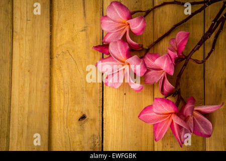 Fleur, Plumeria, revêtements de sol, de textures, de fleurs rouges, de belles plantes. Banque D'Images