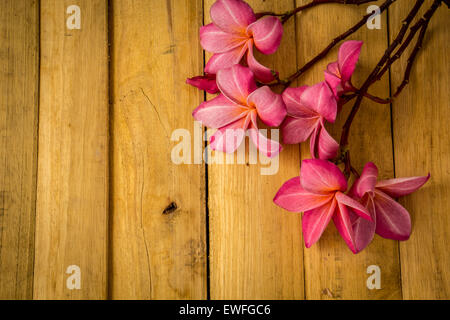 Fleur, Plumeria, revêtements de sol, de textures, de fleurs rouges, de belles plantes. Banque D'Images