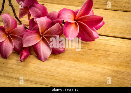 Fleur, Plumeria, revêtements de sol, de textures, de fleurs rouges, de belles plantes. Banque D'Images