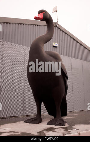 L'art public énorme Big Black Swan Hunter Kenny en plastique Banque D'Images