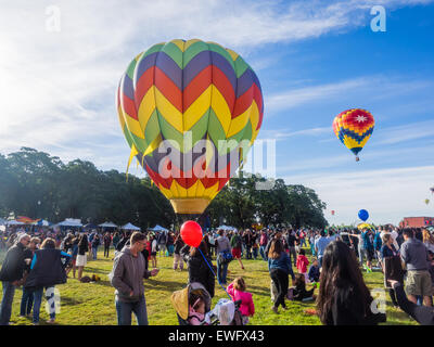 WINDSOR, CA/USA - 20 juin 2015 : 25e Congrès annuel le Comté de Sonoma Hot Air Balloon Classic est un événement annuel où vous pouvez faire l'expérience de ba Banque D'Images