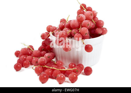 Groseilles congelées avec tiges couvertes de cristaux de glace dans le bol en porcelaine blanche sur fond blanc Banque D'Images