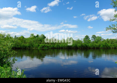 La grande rivière avec la côte qui overgrew les bois et ciel bleu avec les nuages flottants Banque D'Images