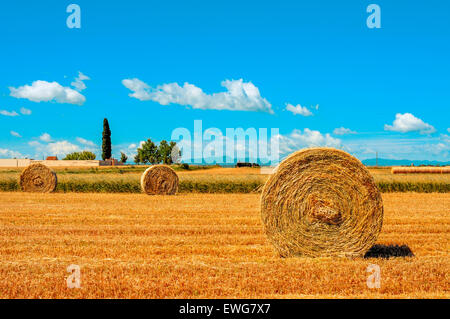 Un champ cultivé en Espagne avec quelques grosses bottes de paille après la récolte Banque D'Images