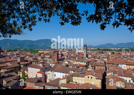 Vue sur la vieille ville de Lucques, Toscane Italie Banque D'Images