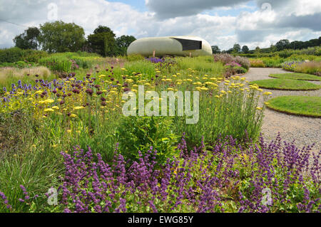 Champ Oudolf, Hauser & Wirth, Bruton, Somerset Banque D'Images