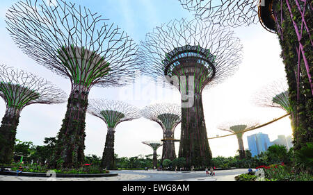 Les gens dans les jardins de la baie au coucher du soleil à Singapour. Banque D'Images