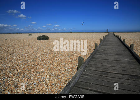 La plage de galets à l'Greatstone Dungeness National Nature Reserve, dans le Kent, England, UK Banque D'Images