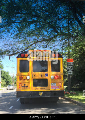 Autobus scolaire jaune sur la route. Banque D'Images