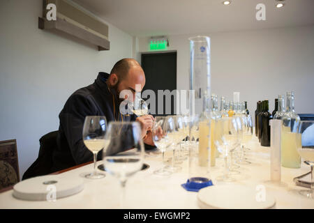 Maipu. 23 Juin, 2015. Image prise le 23 juin 2015 montre l'Allemand Di Cesare, vigneron de la cave Trivento Maipu, travaillant dans la province de Mendoza, en Argentine. Trivento Winery est devenu la marque de vins de l'Argentine a augmenté la couverture internationale positionner la société parmi les principaux exportateurs dans le pays d'atteindre plus de 100 destinations dans le monde. © Martin Zabala/Xinhua/Alamy Live News Banque D'Images