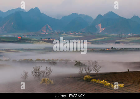 Lever du soleil dans la brume à Mocchau, Vietnam Banque D'Images