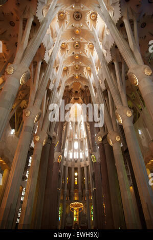 Intérieur de la célèbre Sagrada Familia conçue par Antonio Gaudi barcelone catalogne espagne. Banque D'Images