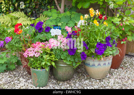 Coin ombragé d'un jardin avec les conteneurs remplis de fleurs colorées Banque D'Images