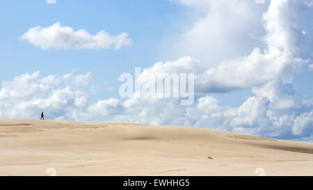 Le déplacement des dunes dans le Parc National Slowinski, Pologne Banque D'Images