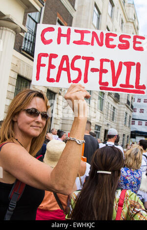 Londres, Royaume-Uni. 26 Juin, 2015. Des dizaines d'amoureux des animaux descendent sur l'ambassade de Chine pour protester contre l'Yulin La viande de chien Festival où des milliers de chiens, souvent tués à l'aide de méthodes extrêmement cruel, sont mangés. Selon un militant anti-cruauté, le festival Yulin est à seulement 10 ans et c'est un possible retour de bâton contre la croisade anti-la viande de chien de l'ouest. Crédit : Paul Davey/Alamy Live News Banque D'Images