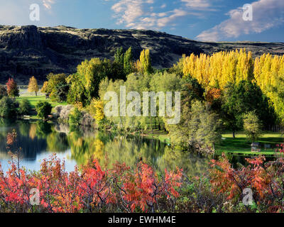 La couleur de l'automne à Horesthief Lake State Park, Washington. Columbia River Gorge National Scenic Area Banque D'Images