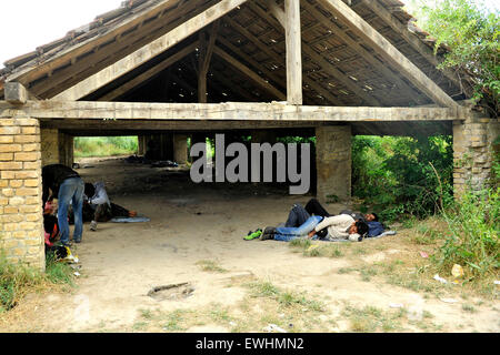 Subotica, Serbie. 25 Juin, 2015. Des dizaines de migrants vivent dans une usine abandonnée près de la ville de Subotica, Serbie, le 25 juin 2015. Zone abandonnée avec des bâtiments en ruine est proche de la frontière hongroise serbe d'où les migrants sont la position de l'UE. © Jan Koller/CTK Photo/Alamy Live News Banque D'Images