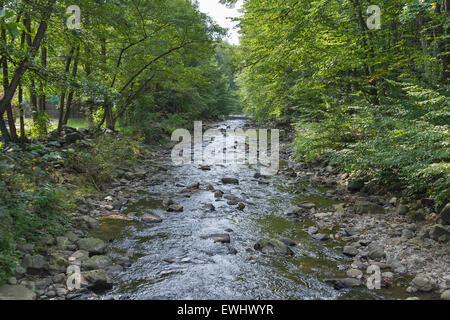 Petite rivière de montagne en Carpatians, Ukraine. Banque D'Images