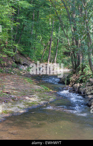 Petite rivière de montagne en Carpatians, Ukraine. Banque D'Images