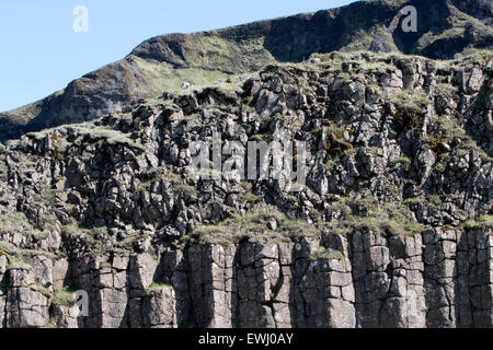 Dverghamrar colonnes de basalte volcanique roches nain et le cube de l'Islande Banque D'Images