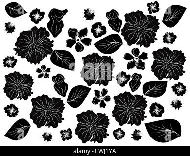Composition florale originale en noir et blanc pour décorer tout ce que vous faites Banque D'Images