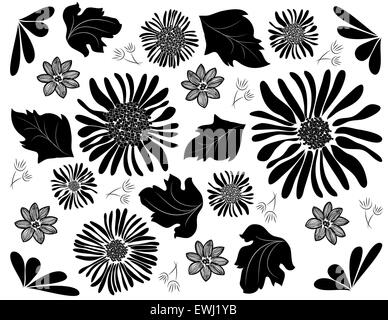 Composition florale originale et spontanée en noir et blanc pour décorer votre esprit Banque D'Images