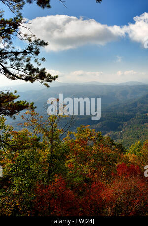 Le soleil se lève sur les montagnes de Great Smoky Mountains National Park à l'apogée de l'automne couleurs. Banque D'Images