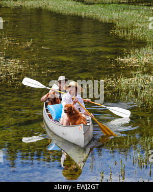 Couple partager canoë avec retrievers Twin Lakes dans le bassin Mammoth Lakes Banque D'Images