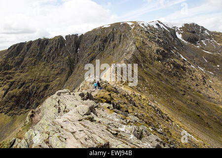 Striding Edge arete et pic de montagne Helvellyn, Lake District, Cumbria, England, UK Banque D'Images