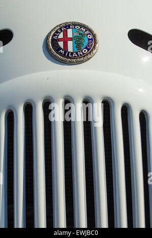 Close-up d'une Alfa Romeo logo voiture vintage. Alfa Romeo 6C 1750 GC (année 1938) Banque D'Images