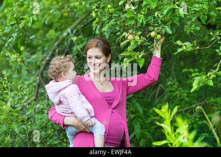 Jeune femme enceinte et sa petite fille de bébé la cueillette des pommes dans un jardin de fruits sur un jour d'automne froid et pluvieux Banque D'Images