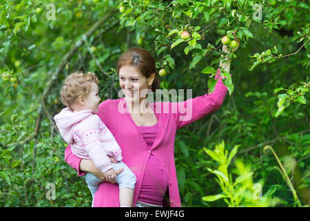 Jeune femme enceinte et sa petite fille de bébé la cueillette des pommes dans un jardin de fruits sur un jour d'automne froid et pluvieux Banque D'Images