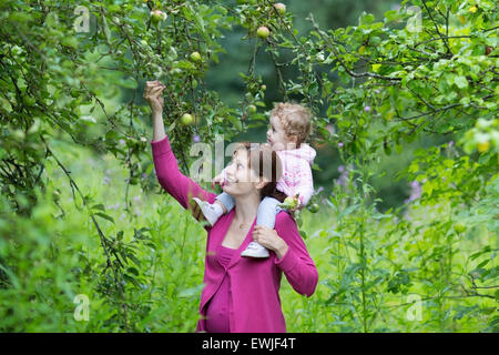 Jeune femme enceinte et sa petite fille de bébé la cueillette des pommes dans un jardin de fruits sur un jour d'automne froid et pluvieux Banque D'Images