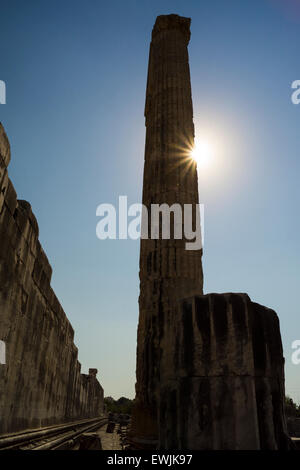 Colonnes du temple, Didim, Turquie Banque D'Images