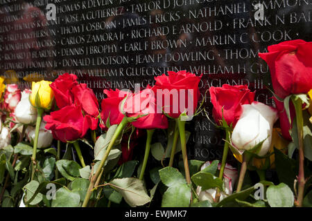 Roses sur la Vietnam Veterans Memorial wall pour la fête des pères - Washington, DC USA Banque D'Images