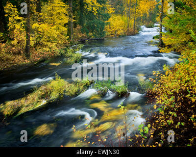 Le Lac Trout Creek dans la couleur de l'automne. Washington Banque D'Images