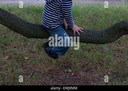 Enfant on tree branch Banque D'Images