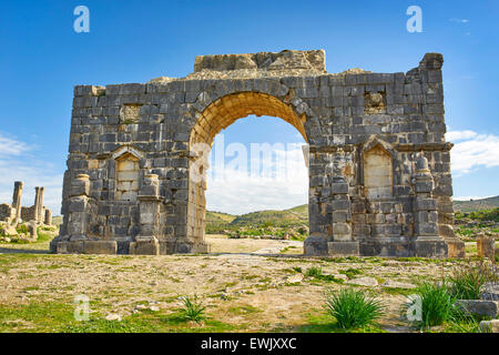 Ruines romaines de Volubilis, près de Meknes, Arc de Triomphe, l'UNESCO, le Maroc, l'Afrique Banque D'Images