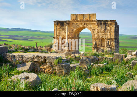 Ruines romaines de Volubilis, près de Meknes, Decumanus Maximus, l'UNESCO, le Maroc, l'Afrique Banque D'Images