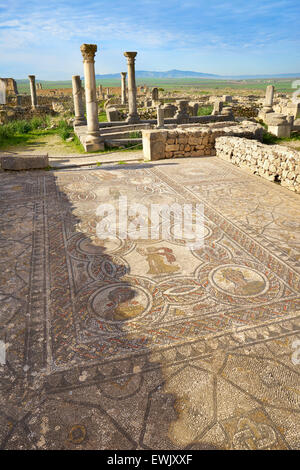 Ruines romaines de Volubilis, Maison de Dionysos, région de Meknès, Maroc, Afrique, UNESCO Banque D'Images