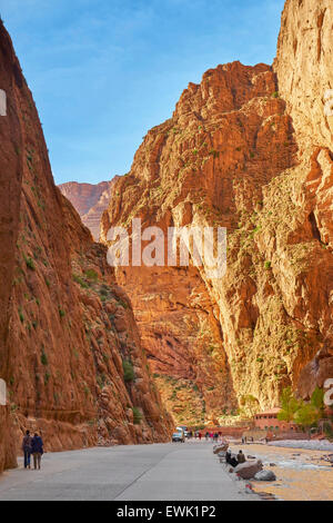 Gorges du TODRA, Tinghir, Maroc, Afrique Banque D'Images