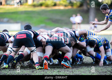 Sydney, Australie. 27 Juin, 2015. Au cours de l'action Shute Shield Club match de rugby entre l'Université de Sydney et Port Ouest Crédit : MediaServicesAP/Alamy Live News Banque D'Images