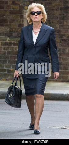 Anna Soubry,ministre de la petite entreprise,arrive au numéro 10 Downing Street pour une réunion du Cabinet Banque D'Images